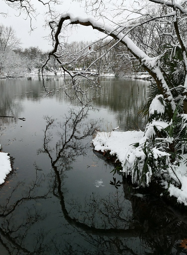 独钓寒江雪 摄影 gufanyuanyin