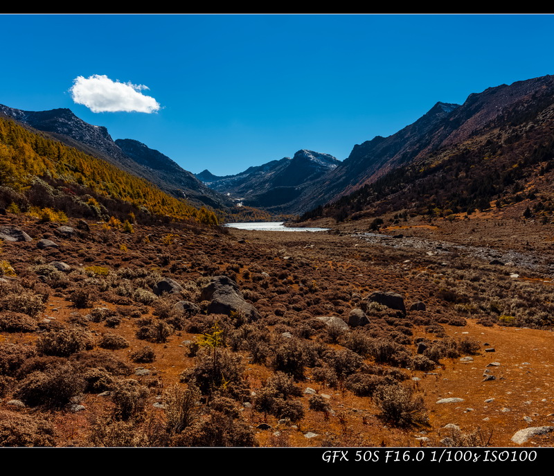 秋染月亮湖 摄影 大山里的猫