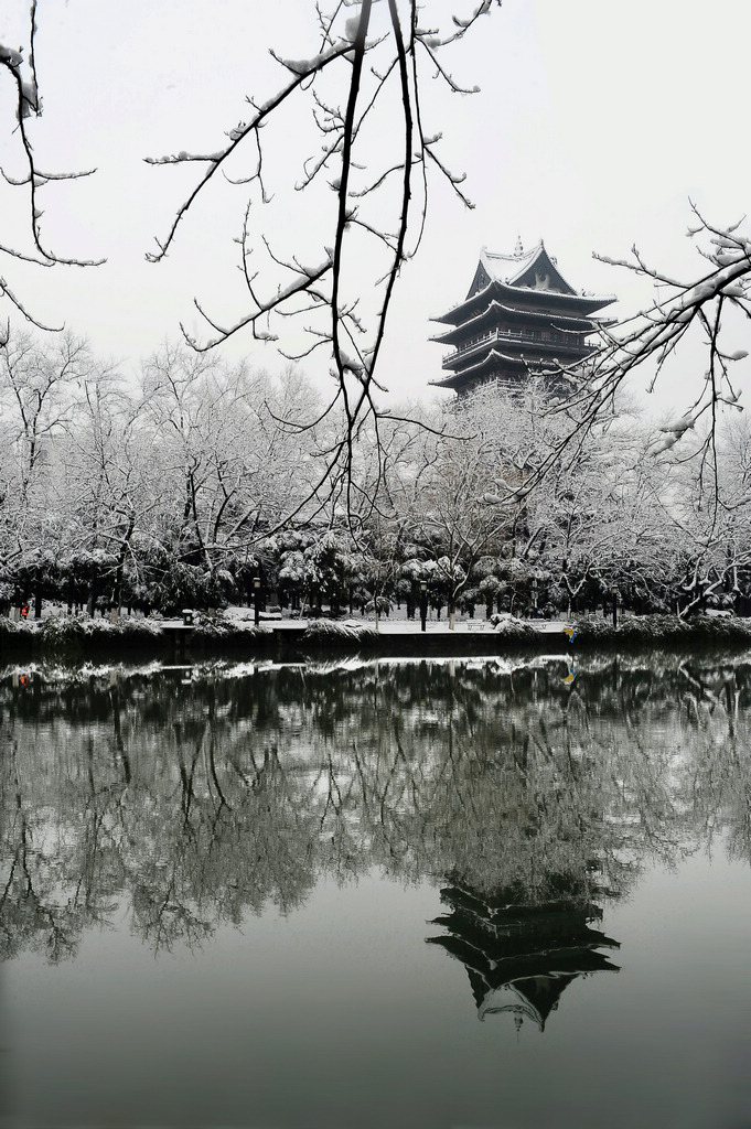 春雪 14 摄影 那人那山