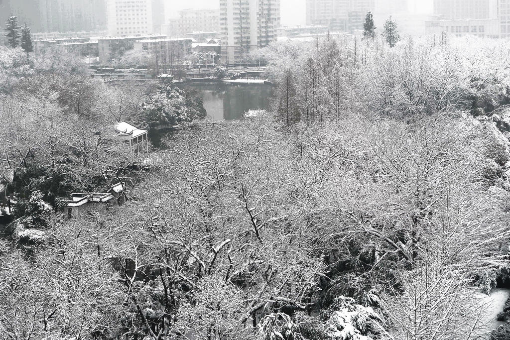 春雪 15 摄影 那人那山