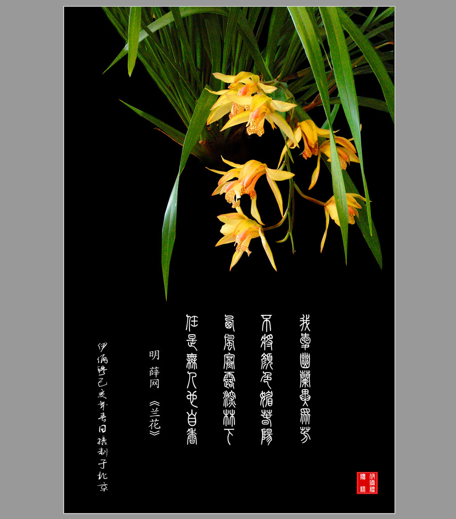 走进春天2 摄影 yongli