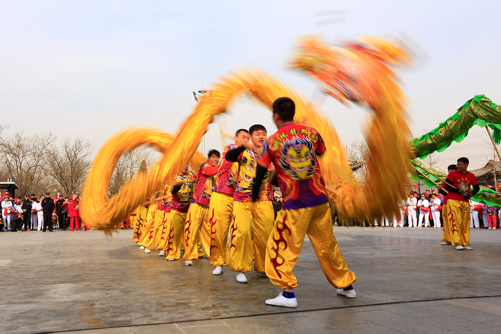 舞龙 摄影 天上来