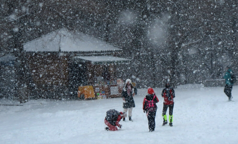 吉林雪景 摄影 柳花