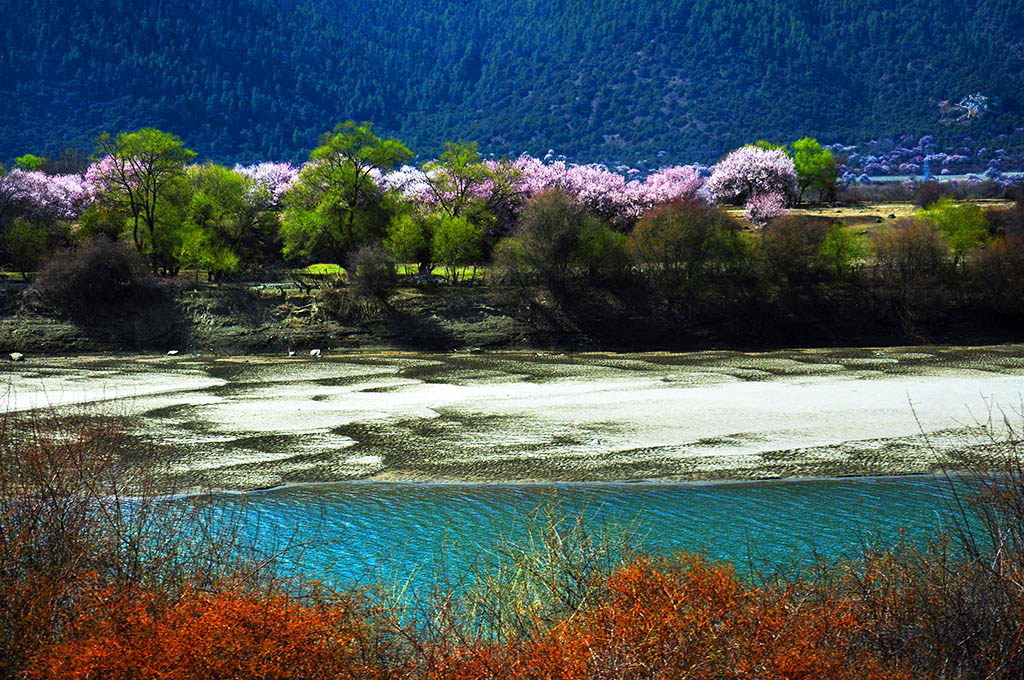 梦回林芝（9） 摄影 云顶山鹰