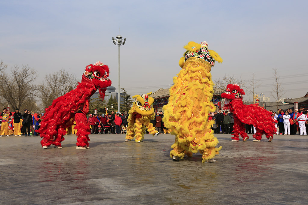 舞狮 摄影 天上来