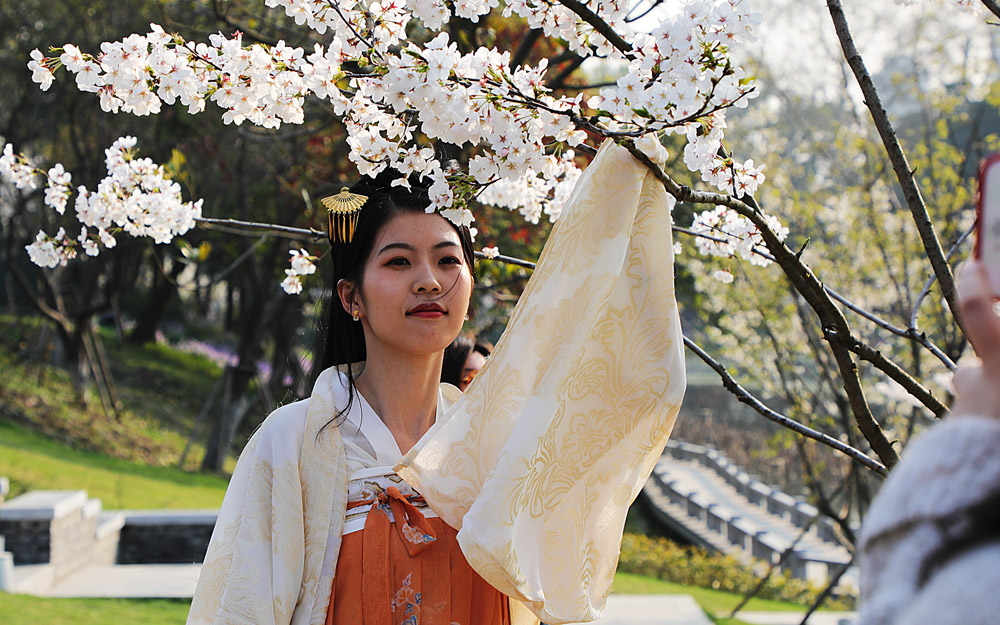 女人与樱花 摄影 松雪