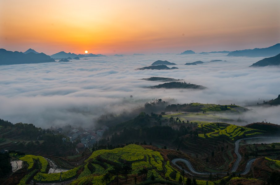 茗岙晨雾 摄影 茗岙忠