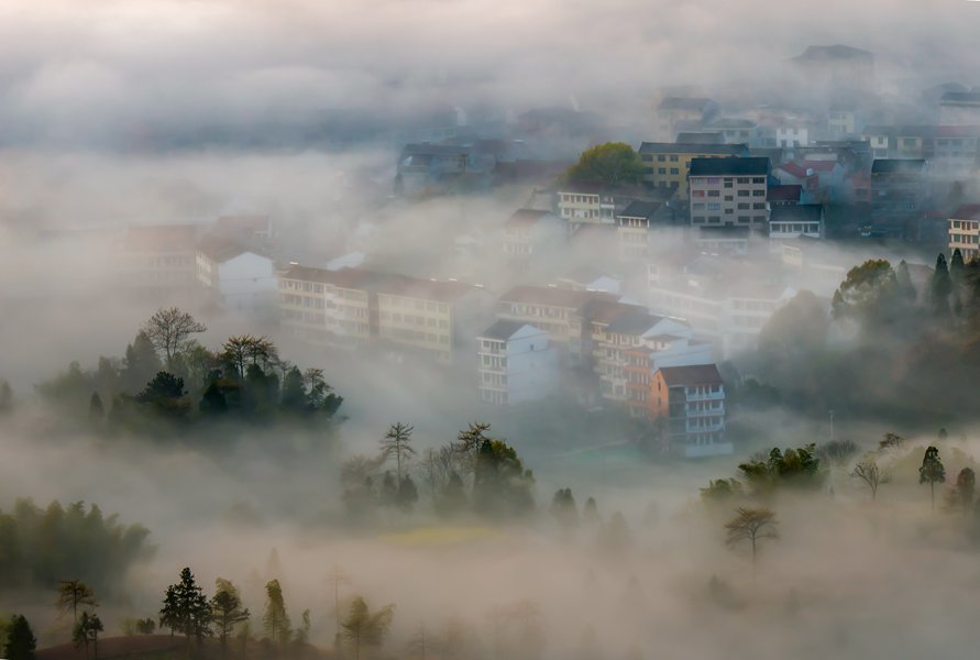 雾中茗岙 摄影 茗岙忠