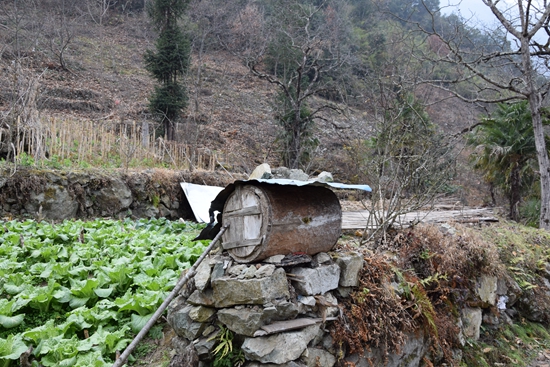 蜂蜜甜自原始来 摄影 回眸瞬间