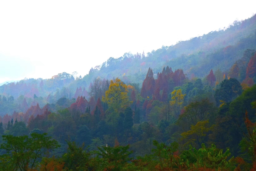 浓墨重彩山水画 摄影 回眸瞬间