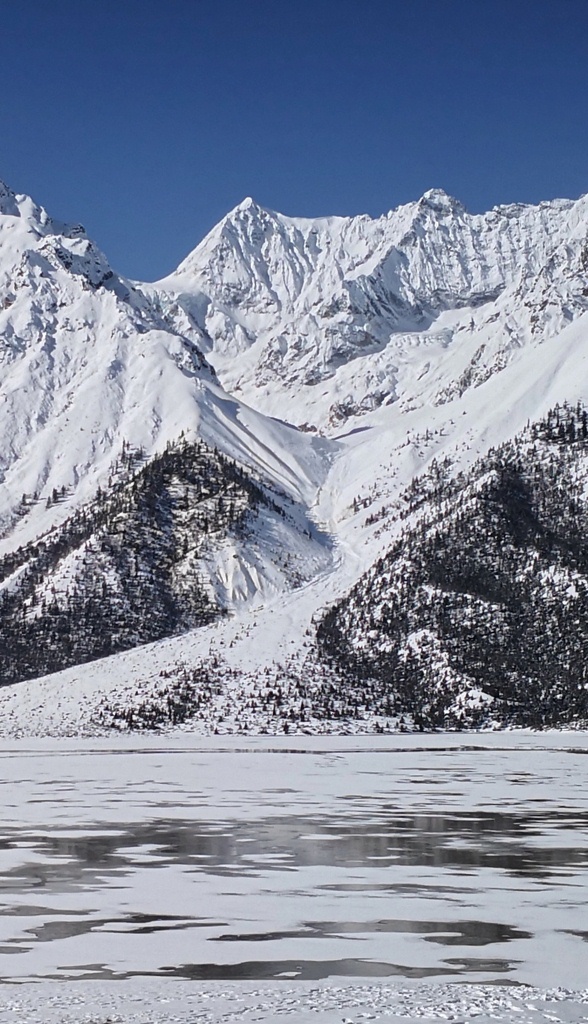 雪地然乌 摄影 gufanyuanyin