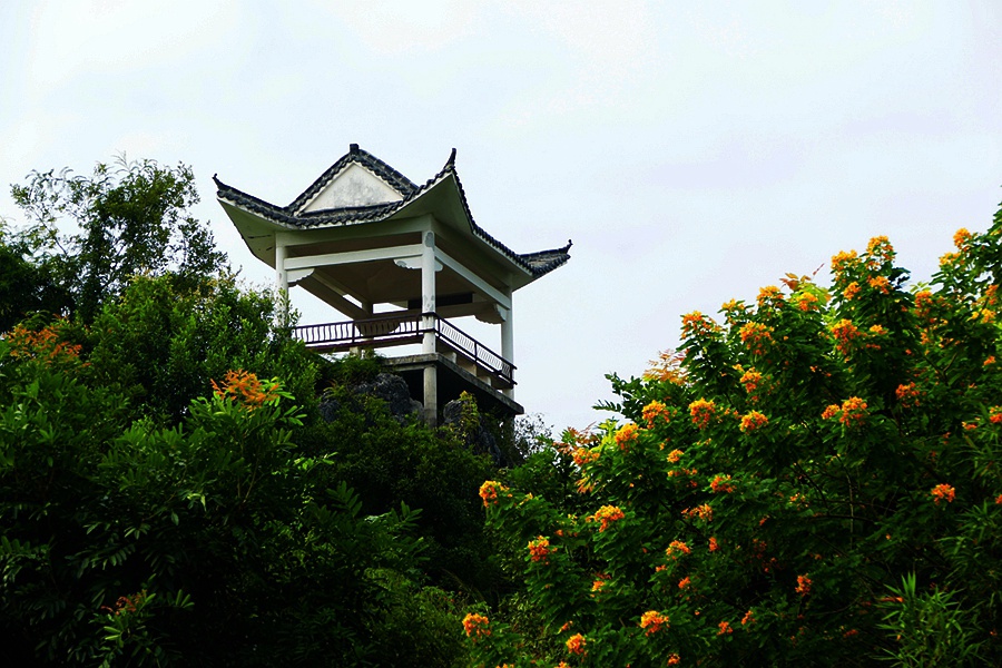 广西玉林之旅随拍 摄影 沉积岩