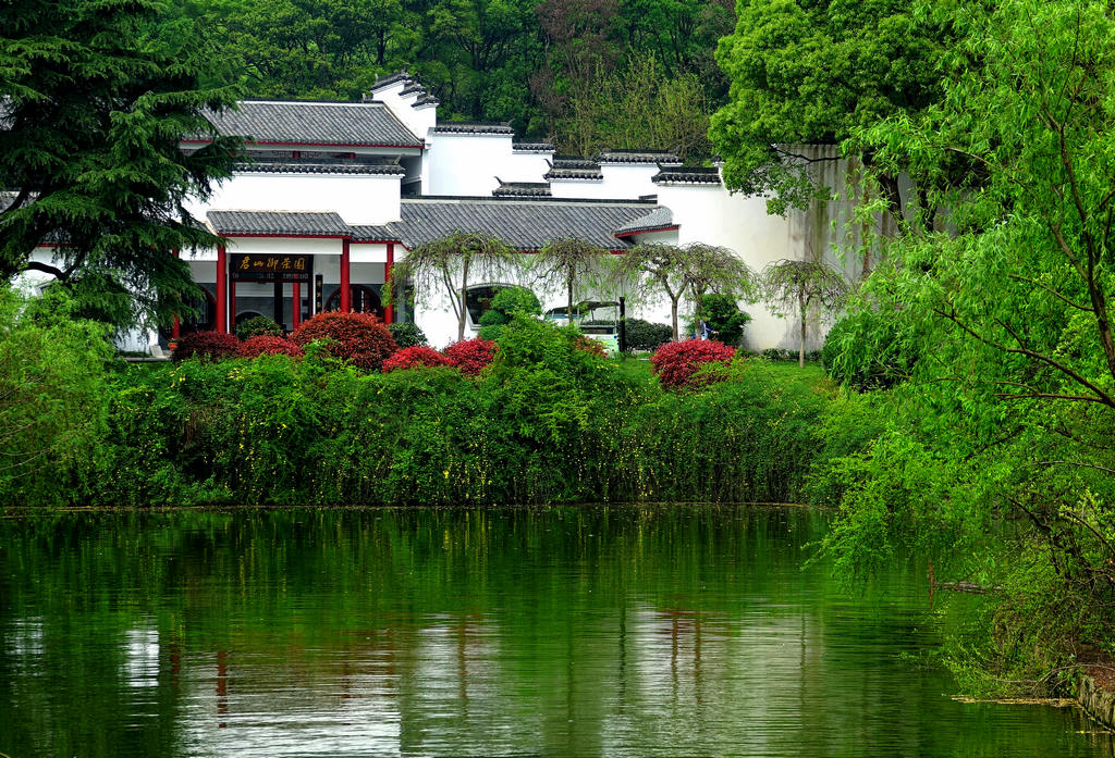 君山岛美景 摄影 独眼观天