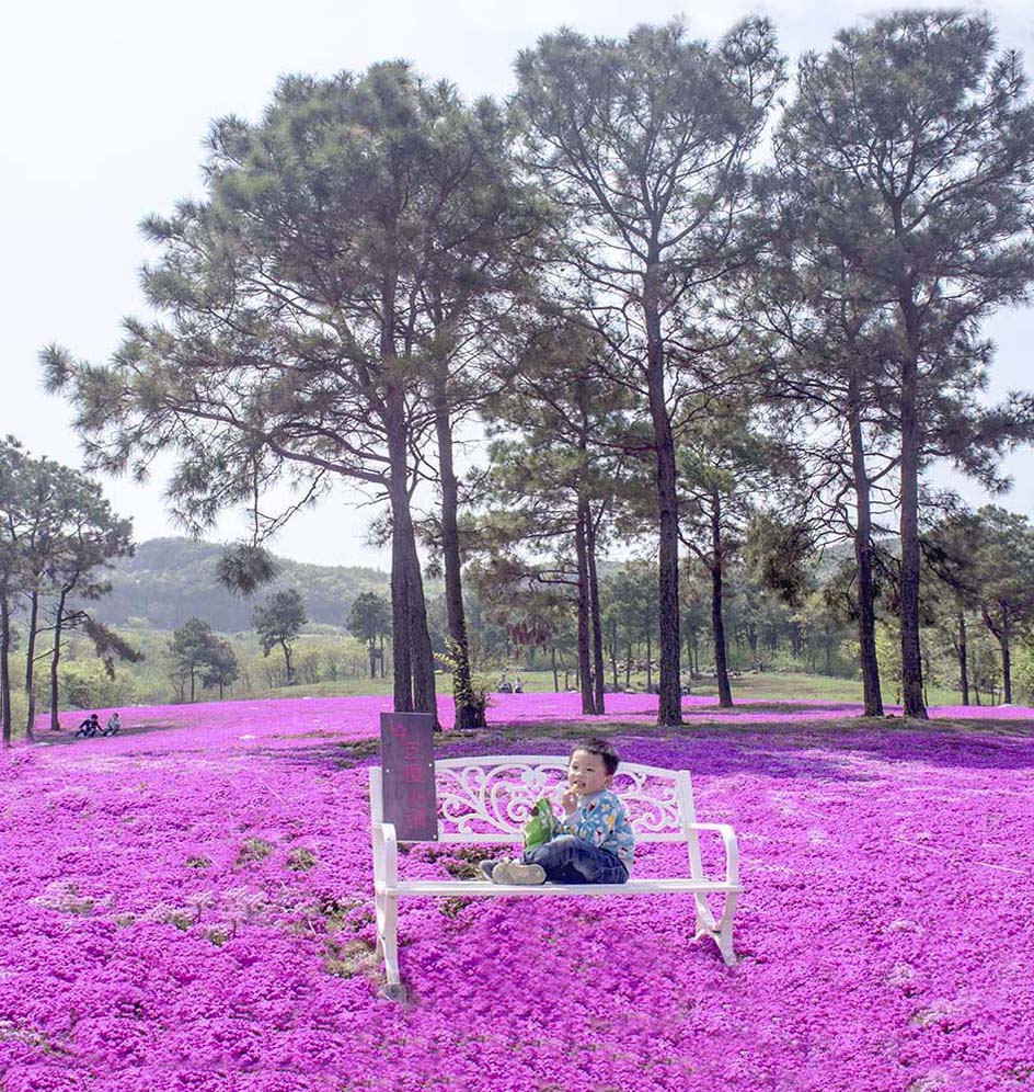 儿童节快乐 摄影 lingsu