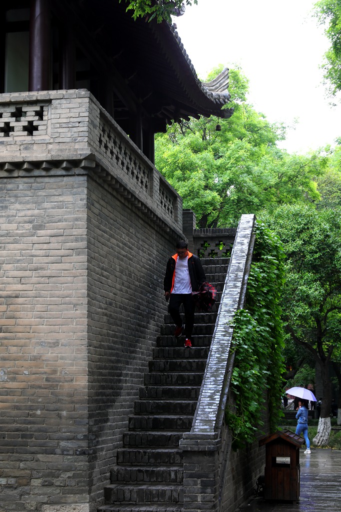 雨中迷离 摄影 青松流水