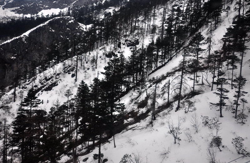 雪景 摄影 大山51