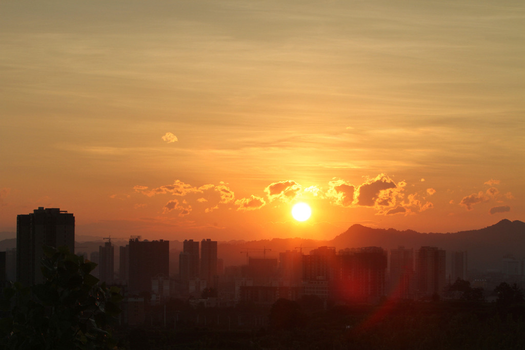 夕阳红 摄影 寒心