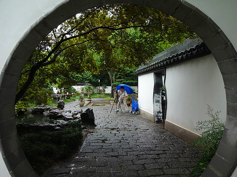 冒雨拍摄 摄影 夜雨听蕉