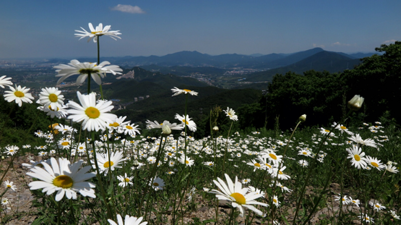 吉林青山 摄影 柳花