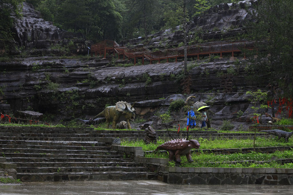 雨中黎坪40 摄影 青松流水