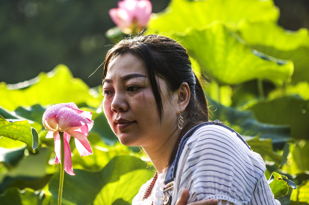 雨荷 摄影 haihang