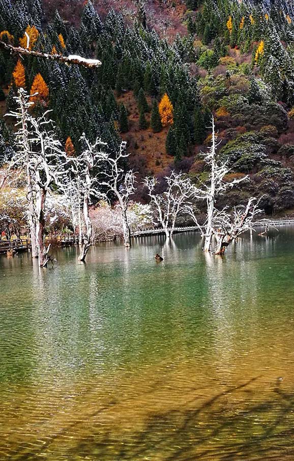 梦一场（4） 摄影 云顶山鹰