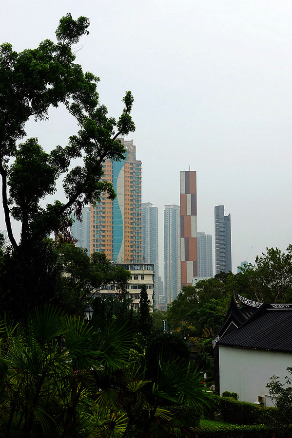 香港南莲园池 摄影 独眼观天