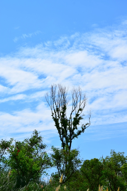 天空 摄影 回眸瞬间