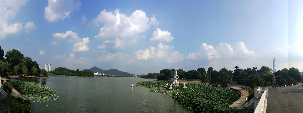 玄武湖之夏 摄影 松雪