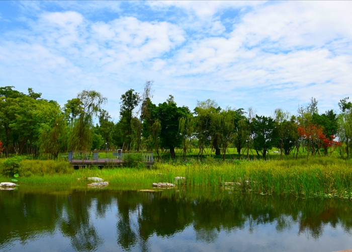 风景 摄影 回眸瞬间