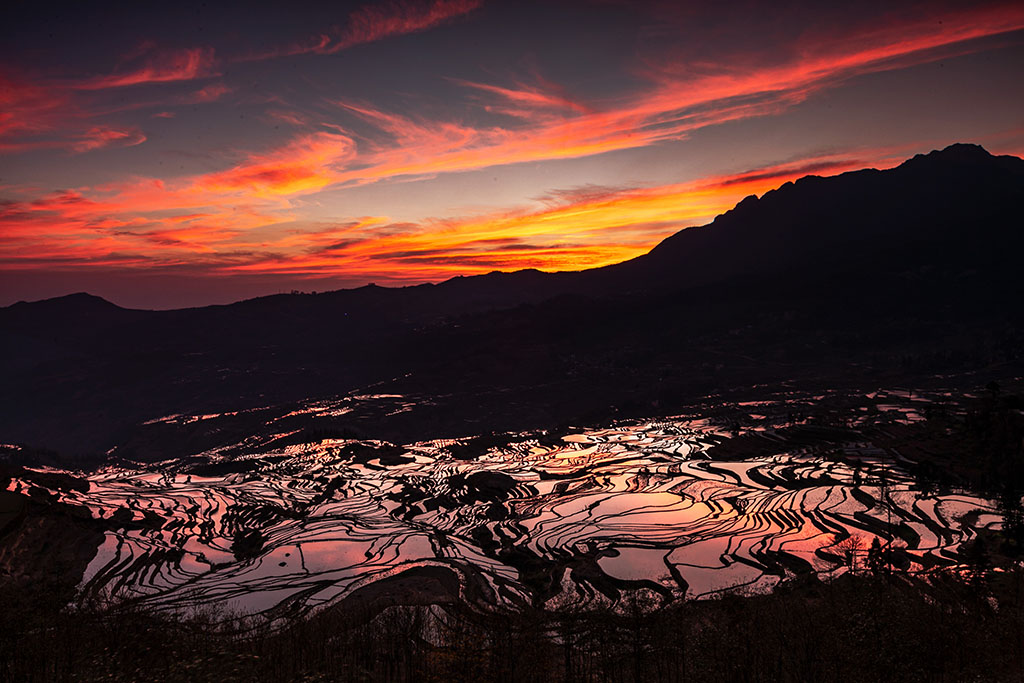 日出 摄影 yangmingxian