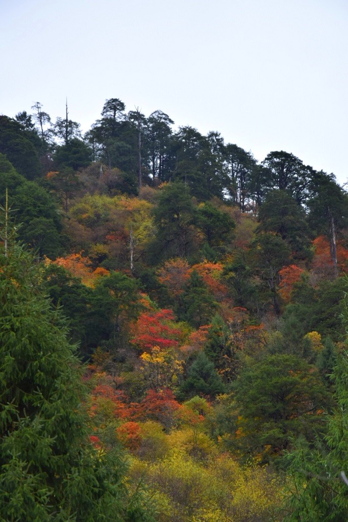 二郎山之魂（1） 摄影 回眸瞬间