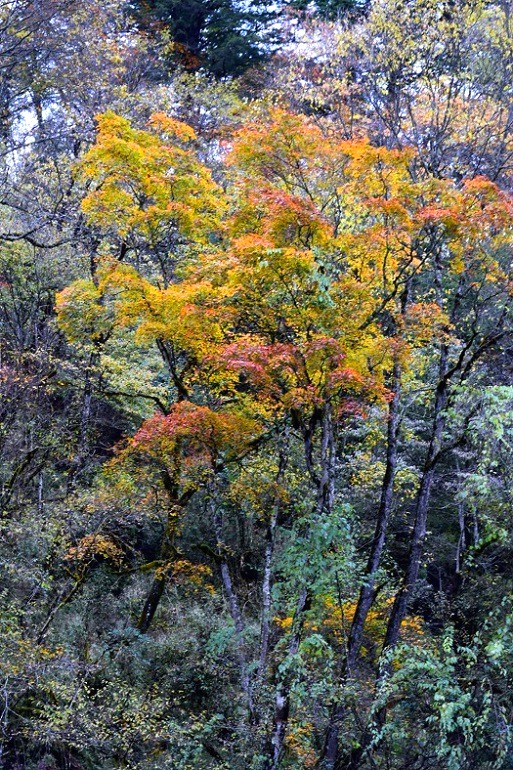 二郎山之魂（2） 摄影 回眸瞬间