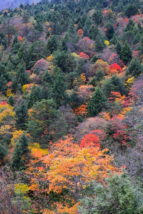 浓墨重彩二郎山（1） 摄影 回眸瞬间