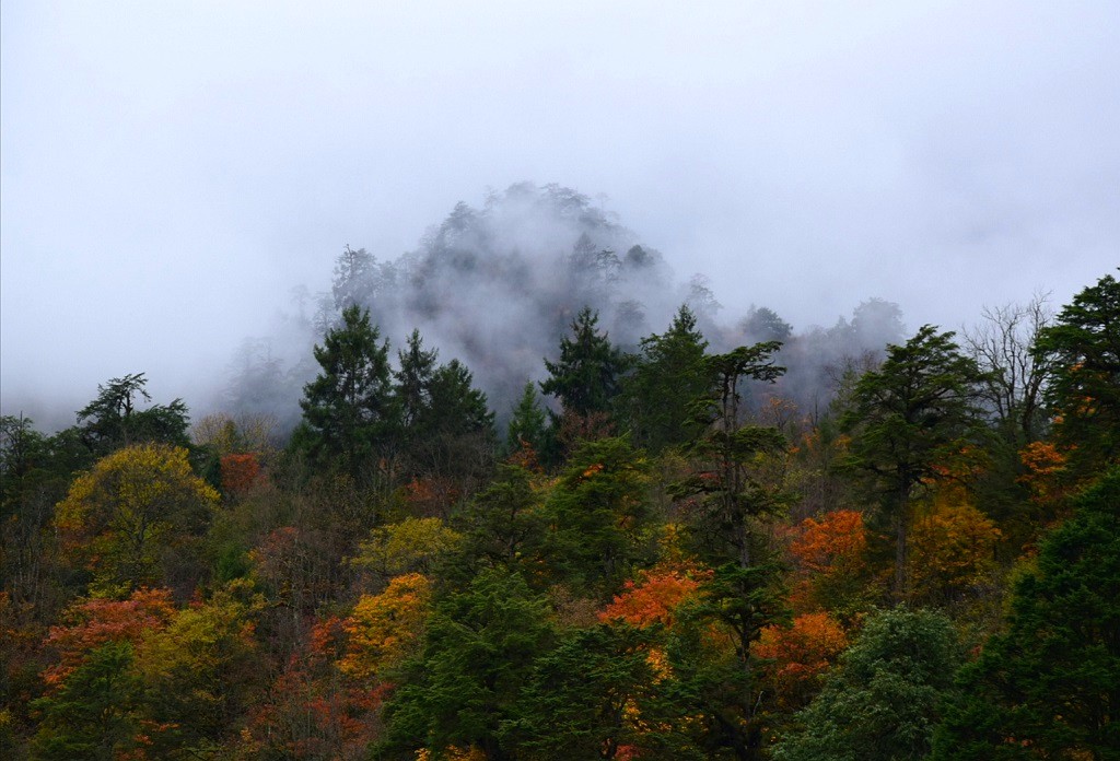 雾锁二郎山（1） 摄影 回眸瞬间