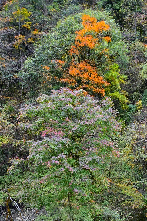 二郎山画廊（3） 摄影 回眸瞬间