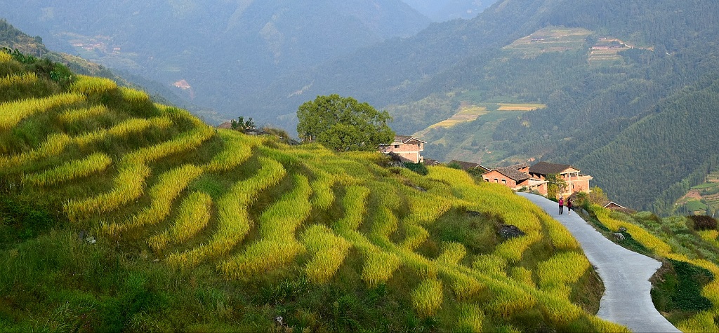 梯田之村 摄影 回眸瞬间