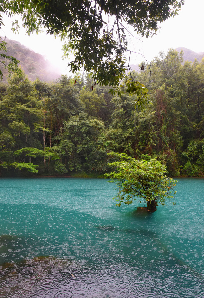 山雨 摄影 沙弛