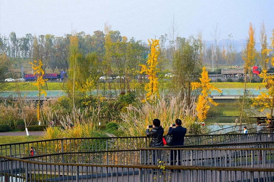 入胜入景 摄影 回眸瞬间