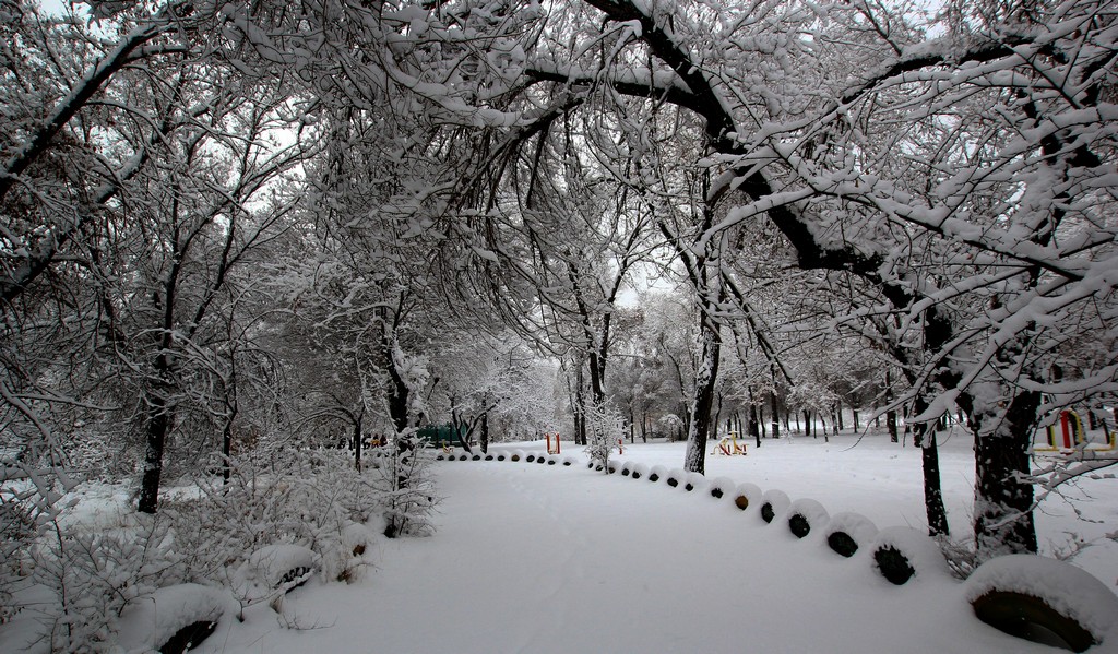 雪域美景 摄影 老歪霸影