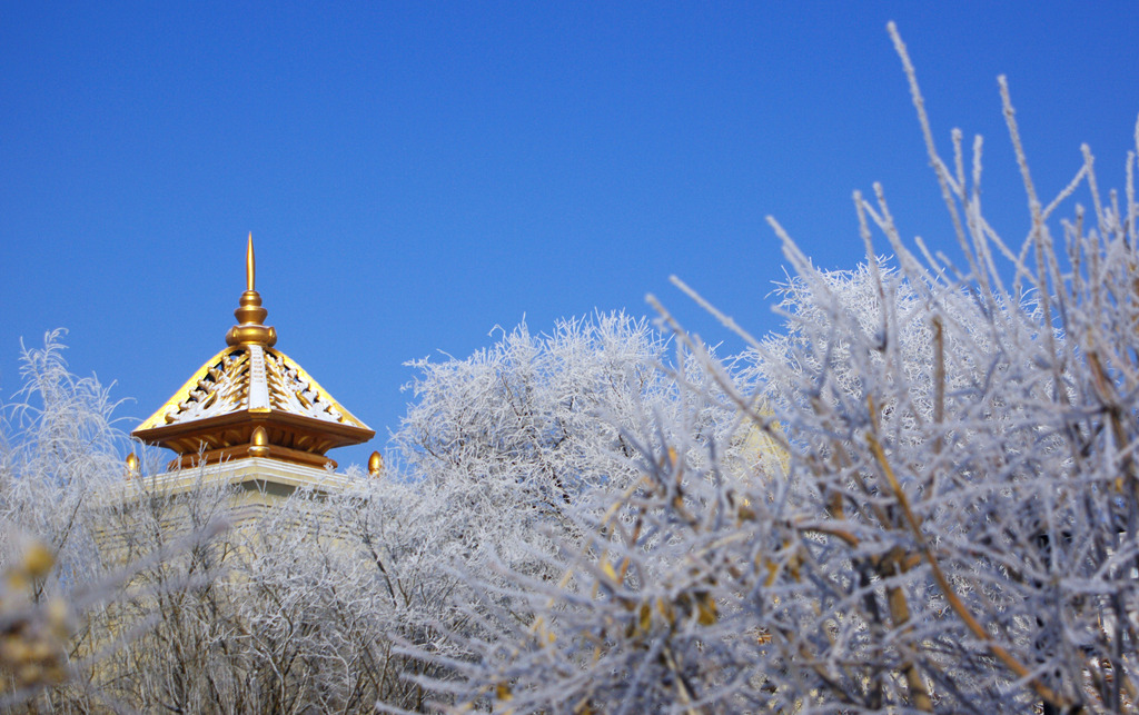 江城雾凇 摄影 雪色年华