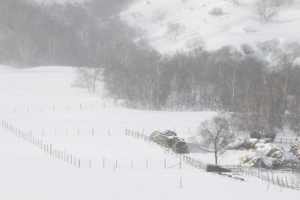 风雪蛤蟆坝 摄影 CHN赛手