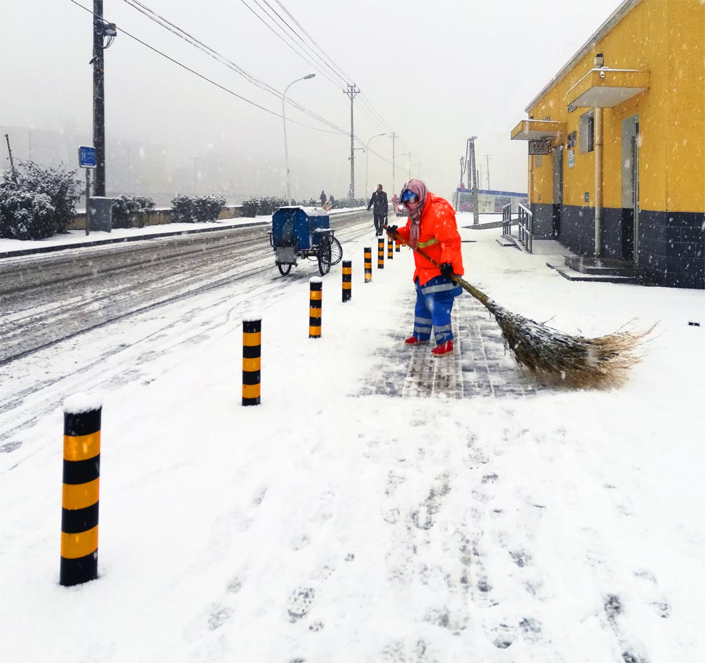 雪后随拍2 摄影 辣椒炒饭2018