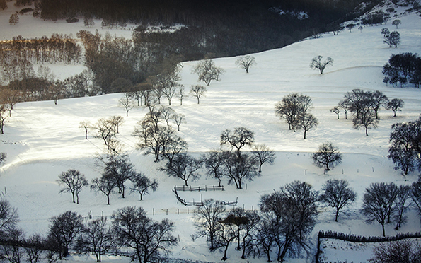 雪景 摄影 游标A