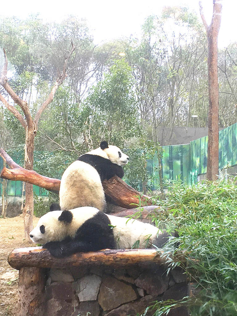 紫清湖畔 摄影 lingsu