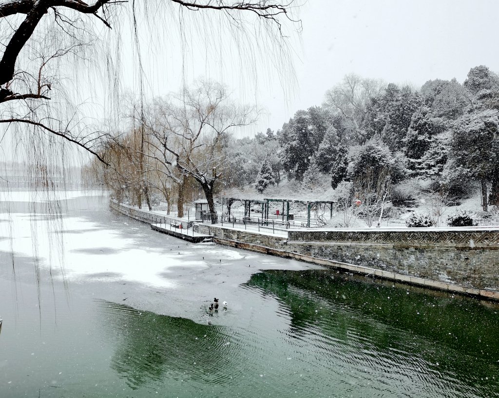 《2月2日的北海雪景》（2） 摄影 TT1948