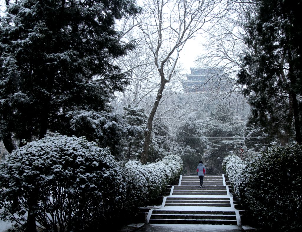 《2月2日的北海雪景》（3） 摄影 TT1948