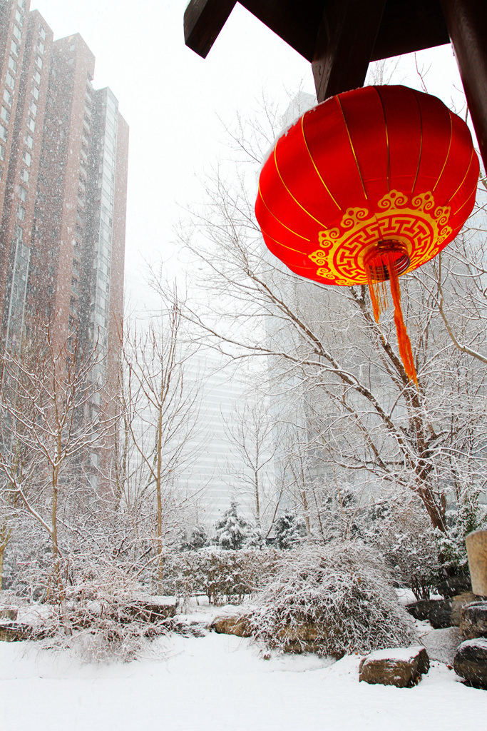 京城雪 摄影 寒心