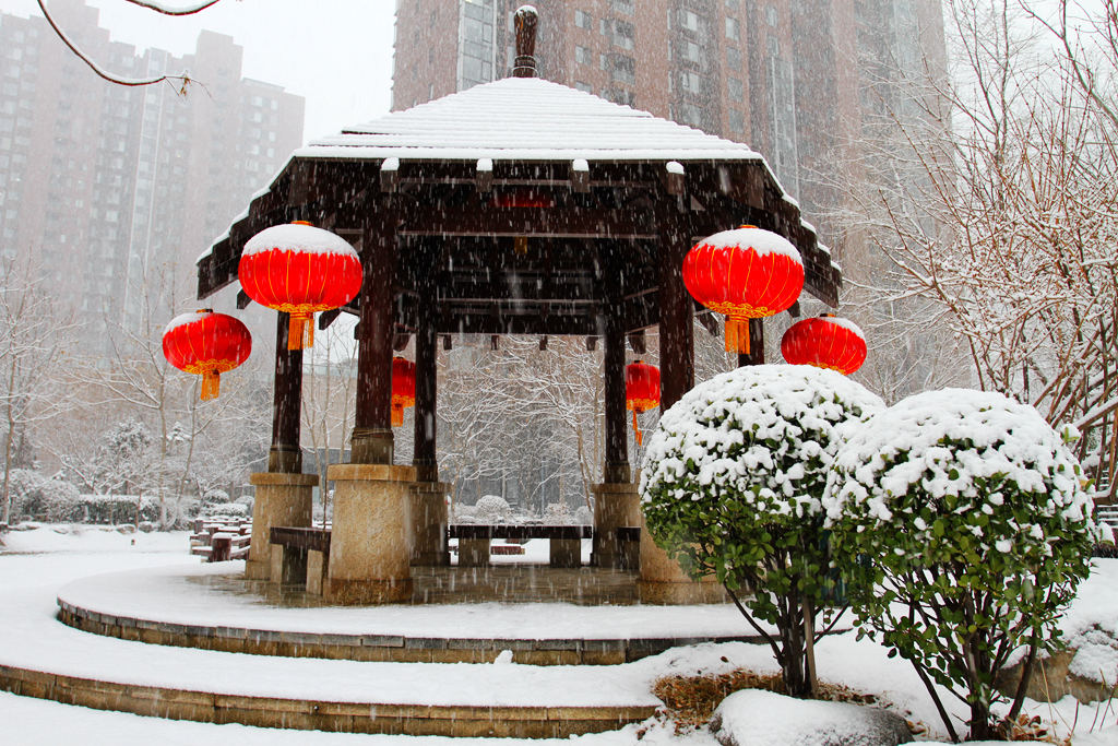 京城雪 摄影 寒心