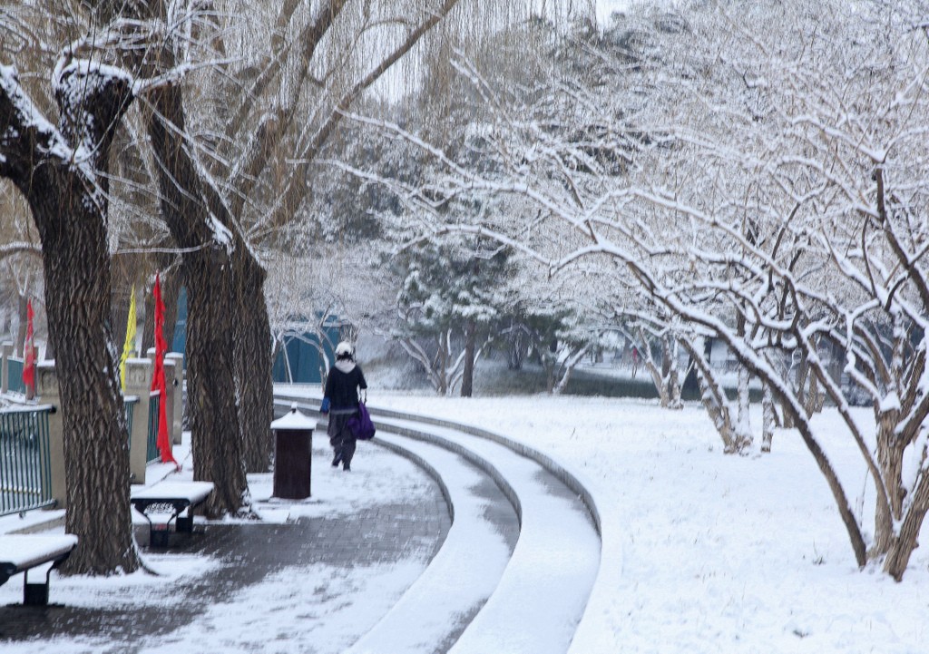 《2月2日的北海雪景》（4） 摄影 TT1948